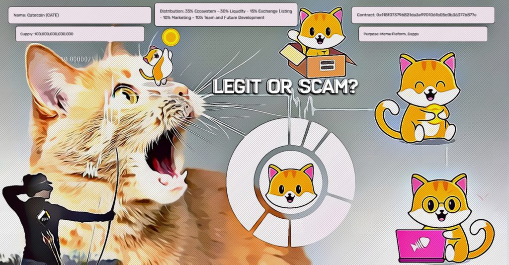 Catecoin, the Kitty Cat Version of Doge on BSC but is it legit or will